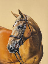 Load image into Gallery viewer, A4 Pastel COLOUR Portraits (23cm x 30cm)