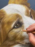 Canine, dog, custom art, commission art, Rakel Illustration, pride of place, forever memory