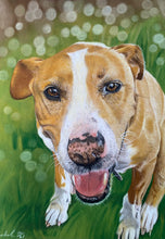 Load image into Gallery viewer, A4 Pastel COLOUR Portraits (23cm x 30cm)