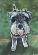 Load image into Gallery viewer, A4 Pastel COLOUR Portraits (23cm x 30cm)