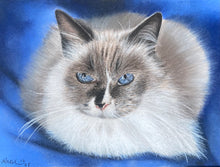 Load image into Gallery viewer, A4 Pastel COLOUR Portraits (23cm x 30cm)