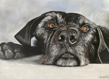 Load image into Gallery viewer, A4 Pastel COLOUR Portraits (23cm x 30cm)