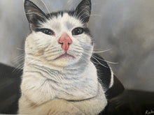 Load image into Gallery viewer, A4 Pastel COLOUR Portraits (23cm x 30cm)