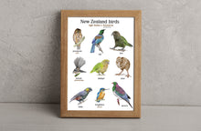 Load image into Gallery viewer, NZ Birds