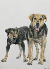 Load image into Gallery viewer, A3 Pastel COLOUR Portraits (11" x 14" 28cm x 35cm)