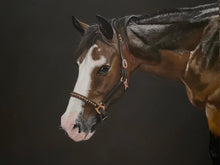 Load image into Gallery viewer, A2 Pastel COLOUR (16" x 20")