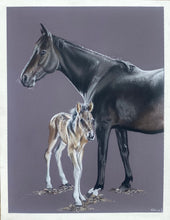 Load image into Gallery viewer, A4 Pastel COLOUR Portraits (23cm x 30cm)