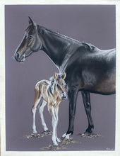 Load image into Gallery viewer, A4 Pastel COLOUR Portraits (23cm x 30cm)
