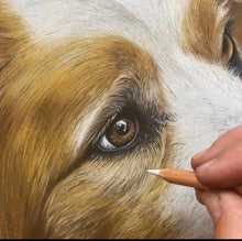 Load image into Gallery viewer, A3 Pastel COLOUR Portraits (11&quot; x 14&quot; 28cm x 35cm)
