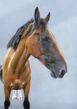Load image into Gallery viewer, A3 Pastel COLOUR Portraits (11&quot; x 14&quot; 28cm x 35cm)
