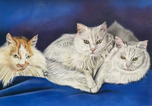 Load image into Gallery viewer, A3 Pastel COLOUR Portraits (11&quot; x 14&quot; 28cm x 35cm)
