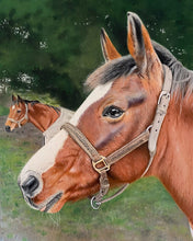 Load image into Gallery viewer, A3 Pastel COLOUR Portraits (11" x 14" 28cm x 35cm)
