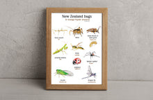 Load image into Gallery viewer, NZ bug print
