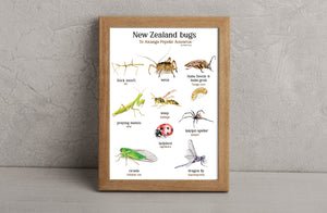 NZ bug print