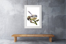 Load image into Gallery viewer, Fantail / Piwakawaka Print
