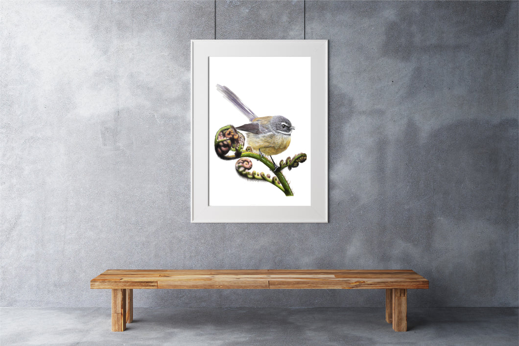 Fantail / Piwakawaka Print