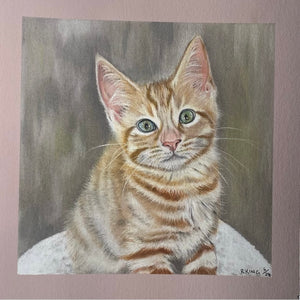 Mini portraits COLOUR or PENCIL (20cm x 20cm)