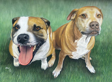 Load image into Gallery viewer, A3 Pastel COLOUR Portraits (11" x 14" 28cm x 35cm)
