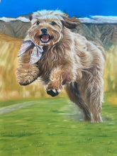 Load image into Gallery viewer, A2 Pastel COLOUR (16" x 20")
