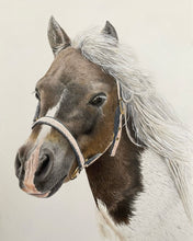 Load image into Gallery viewer, Mini portraits COLOUR or PENCIL (20cm x 20cm)
