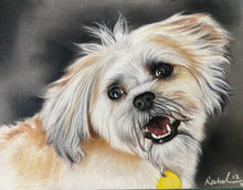 Load image into Gallery viewer, A4 Pastel COLOUR Portraits (23cm x 30cm)
