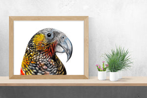 Kaka print
