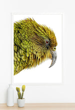 Load image into Gallery viewer, Kea print
