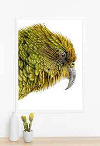 Kea print