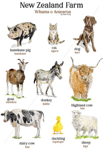 NZ farm Animals print 2