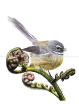 Load image into Gallery viewer, Fantail / Piwakawaka Print
