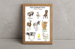 NZ farm Animals print 2