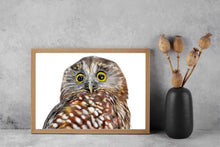 Load image into Gallery viewer, Ruru (Morepork)
