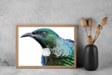 Load image into Gallery viewer, Tui print
