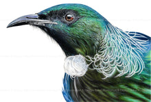 Load image into Gallery viewer, Tui print

