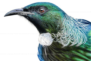 Tui print