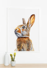 Load image into Gallery viewer, Hare print

