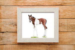 Foal print