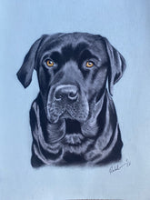 Load image into Gallery viewer, Mini portraits COLOUR or PENCIL (20cm x 20cm)
