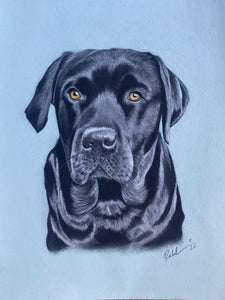 Mini portraits COLOUR or PENCIL (20cm x 20cm)