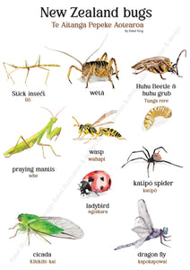 NZ bug print