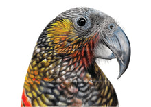 Load image into Gallery viewer, Kaka print
