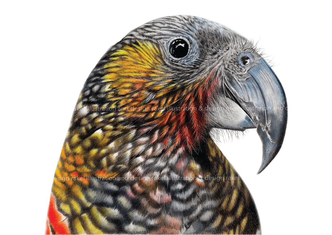 Kaka print