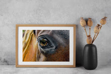 Load image into Gallery viewer, Horses eye print
