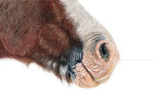 Load image into Gallery viewer, Horse muzzle print
