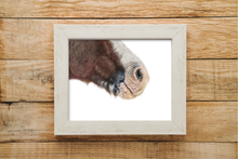 Load image into Gallery viewer, Horse muzzle print
