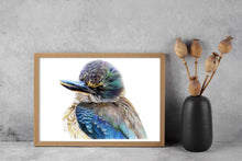 Load image into Gallery viewer, Juvenile kingfisher (Kotare)
