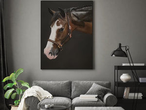 A2 Pastel COLOUR (16" x 20")