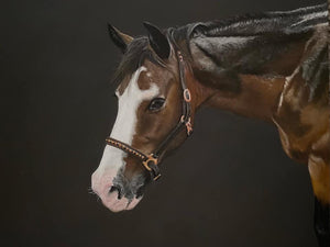 A2 Pastel COLOUR (16" x 20")