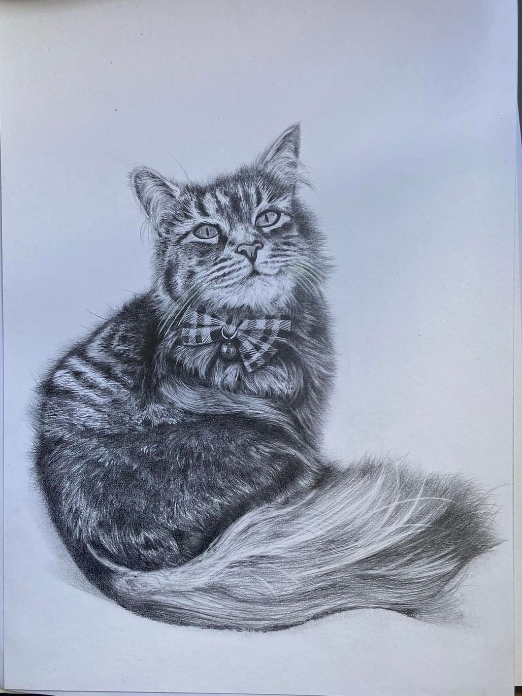 A4 Pencil Portraits (22.5cm x 30cm)