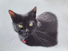 Load image into Gallery viewer, A3 Pastel COLOUR Portraits (11&quot; x 14&quot; 28cm x 35cm)
